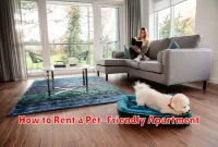 How to Rent a Pet-Friendly Apartment